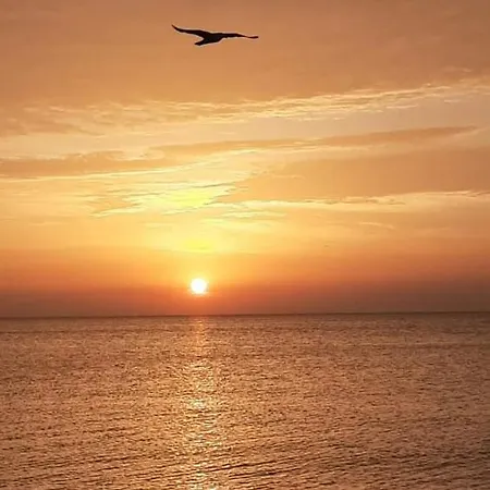Garsoniera De Vacanta Mamaia Nord