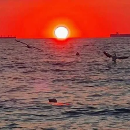 Garsoniera De Vacanta Mamaia Nord